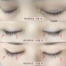 리얼래쉬 이미지