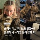 퍼 덕후 픽! 올해 블프템은 무조건 이거!