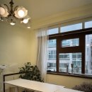 (원데이) 그린 플랜트 이미지