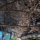 인천광역시 계양경기장 인라인스케이트장 이미지
