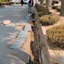 목포대연초등학교 이미지