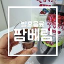 쉬르레코리아