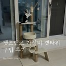 캣프렌즈 | 고양이 캣타워 추천 가성비 좋은 펫프렌즈 웰컴딜 제품 후기 (추천인 코드)