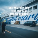 제주 목포 배편 예약 차량 선적 요금 퀸메리2 이용후기 (feat. 애견동반 펫스위트룸, 당일 예약 변경...