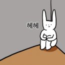 동해계절맛집 이미지