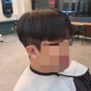 테드헤어 이미지