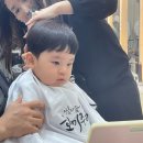 1619 | 대한항공 광주-제주 KE1619 탑승 후기/기내 와이파이로 영화 보는 법