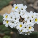 (주)좋은친구들 이미지