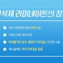 서울미시간치과의원 네이버블로그