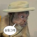 컴퓨터실무 B반야간 | [폴리텍 바이오 교육] 6주차 gmp 이론/실습