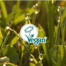 샴푸보이 이미지