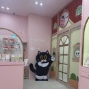 고양이카페 루프캣미 명동점 이미지
