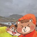 우산공원3 | [대만 여행] 3일차｜예스지투어 예류지질공원, 비 맞으면서 찍은 리얼 후기 (내돈내산)