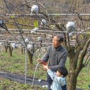 하늘농원1호 이미지