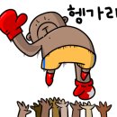 드래곤복싱체육관 이미지