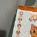 멍냥멍냥 | 초보집사를 위한 멍냥백과 고양이 두부모래 솔직 후기