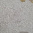 아델리움세탁 이미지