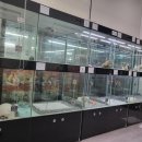 이쁘개 건강하개 이미지