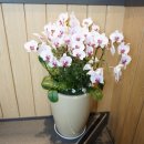 뚜레쥬르 카페서수원점 이미지