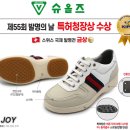 슈올즈문정
