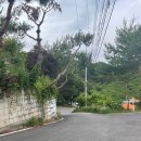 리버뷰 &#34;코지 앤 레이지&#34; 가평 카페 추천 내돈내산 후기