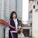 투투 이미지