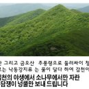 송담1로 이미지