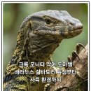 바라누스