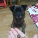 바른멍쿡 이미지