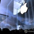 '대장주' 애플, 1년반만에 다시 장중 시가총액 3조달러 돌파 이미지
