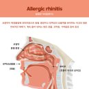 둔전한의원 이미지