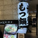 키테 | 후쿠오카 하카타역 근처 맛집 모츠나베 오오야마 키테 히카타점 예약 후기