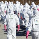 김태성농장 이미지