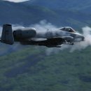 A-10 썬더볼트 II(Thunderbolt II) 이미지