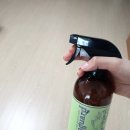 (주)바이오쓰리에스 | 편백스프레이 여름철 이불 자주 못 빨때 쓰는 편백나무탈취제(바이오쓰리에스)