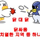 통큰통닭 이미지