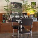 티티오(tto)