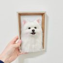 강아지 액자 폼피츠 양모펠트 보들상점 주문제작 후기