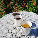 클로버비앤비 이미지