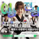 새일태권도 네이버블로그