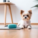 부산강아지분양 마이뭉 24시 이미지