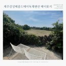 예쁜제주여행 🌴 구좌읍 제주감성 독채펜션 메종드메이 / 테라스풍경이 예쁜 메이롯지 🖤 2인실 이용후기