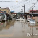 공주시농협옥룡하나로마트 이미지