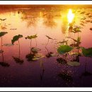 새벽즈음 이미지