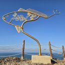 추자도나바론 이미지