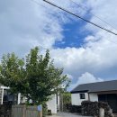 하도리 보통날 | 제주도 돌담 보이는 동쪽 감성숙소 2인 추천! 하도리보통날 방하나