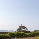 노을칸타타 이미지