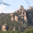 남도1번지횟집 이미지