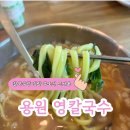 용원 해장용으로 좋은 국물이 개운하게 끝내주는 칼국수 전문점 영칼국수