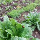 사파동232 이미지